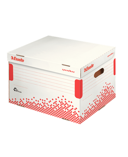 Arhīva kaste mapēm-reģistriem ESSELTE, 392x301x334 mm, balta