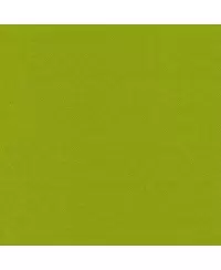 Stalo servetėlės LENEK, žalios spalvos, 1 sluoksnio, 24x24 cm, 400 vnt.