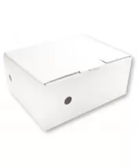 Archyvinė dėžė SM-LT, 150x335x250 mm, mikrogofro, balta