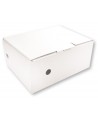 Arhīva kaste SM-LT, 335x250x150 mm, balta