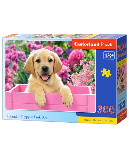 Puzle CASTORLAND Labrador Puppy in Pink Box, 300 gabaliņi