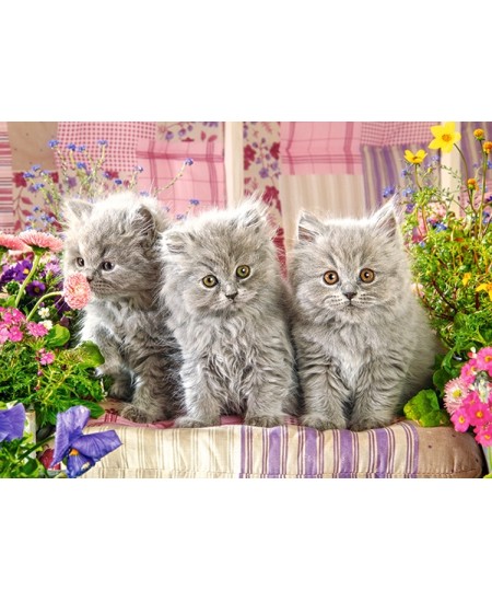 Puzle CASTORLAND Three Grey Kittens, 300 gabaliņi