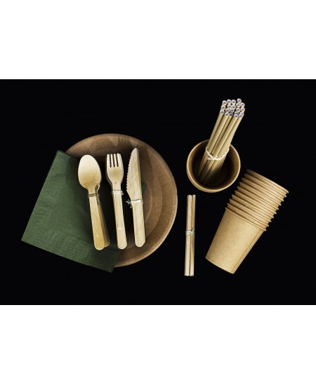 Vienreizlietojamo trauku komplekts 20 personām