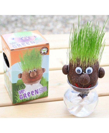 Diedzēšanas komplekts RADIS et CAPUCINE Mr. Green Zāles galva