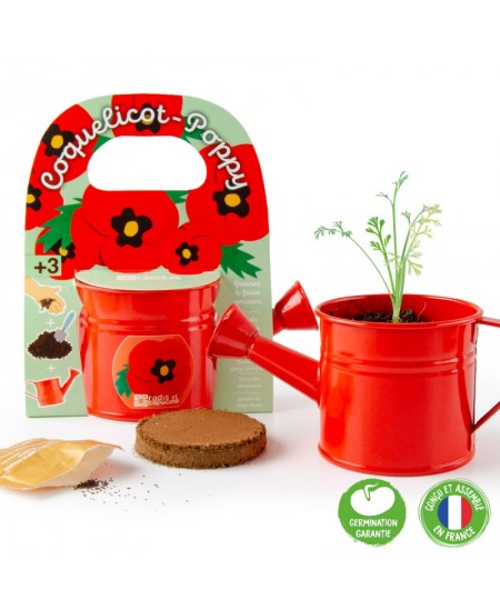 Audzēšanas komplekts lejkannā RADIS et CAPUCINE Sarkanā magone