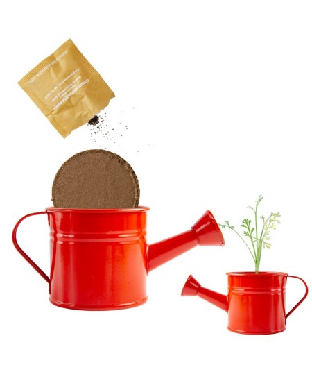 Audzēšanas komplekts lejkannā RADIS et CAPUCINE Sarkanā magone
