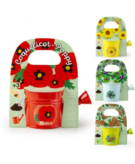 Audzēšanas komplekts lejkannā RADIS et CAPUCINE Sarkanā magone