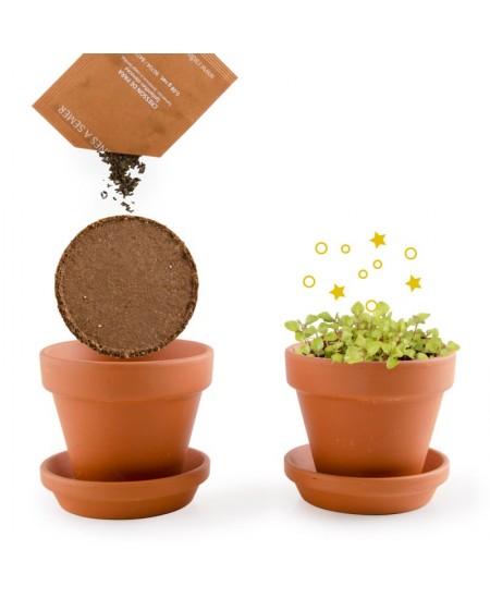 Burbuļaugu audzēšanas komplekts RADIS et CAPUCINE