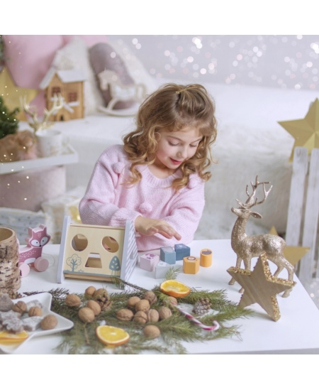 Koka šķirošanas un aprīkojuma spēle VIGA PolarB