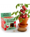 Audzēšanas komplekts bērniem RADIS et CAPUCINE Ekoloģiskie ķiršu tomāti