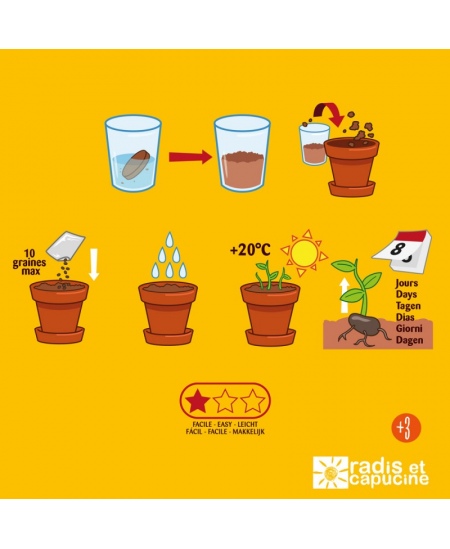 Audzēšanas komplekts bērniem RADIS et CAPUCINE Ekoloģiskie ķiršu tomāti