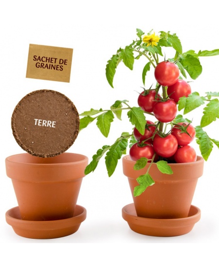 Audzēšanas komplekts bērniem RADIS et CAPUCINE Ekoloģiskie ķiršu tomāti
