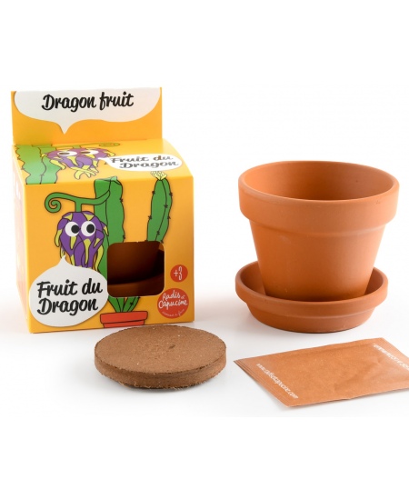 Audzēšanas komplekts bērniem RADIS et CAPUCINE Pūķa auglis