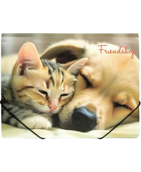 Mape ar gumiju PANTA PLAST Friendship, plastmasas, A4