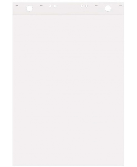 Konferenču piezīmju blociņš FOROFIS, 600x850 mm, 50 lapas