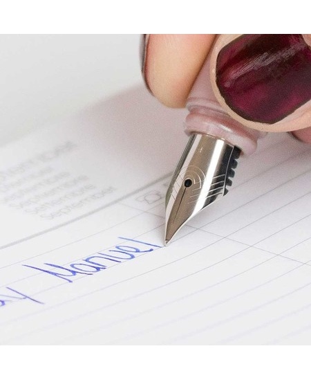 Tintes pildspalva SCHNEIDER Ceod Classic, balts korpuss ar sudraba detaļām