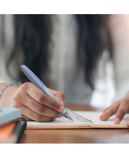 Tintes pildspalva SCHNEIDER Ray, kreiļiem, pelēkzaļš korpuss