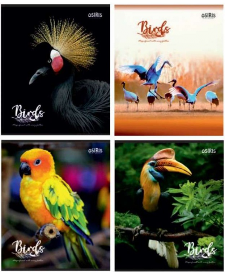 Burtnīca līnijās OZIRIS Putni, 48 lapas, 65 gsm