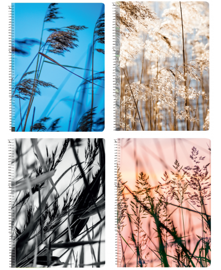 Burtnīca rūtiņās BRADLEY Valhalla, A4, ar spirāli, 80 lapas, 70 gsm