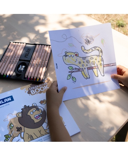 Krāsojamā grāmatiņa MILAN Wild Safari