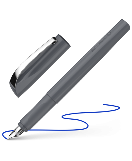 Tintes pildspalva SCHNEIDER Ceod Colour, pelēks korpuss