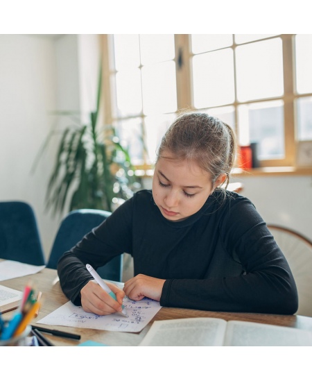 Pildspalva SCHNEIDER Base Ball, pelēks un tirkīza korpuss