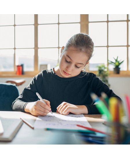 Pildspalva SCHNEIDER Base Ball, pelēks un rozā korpuss