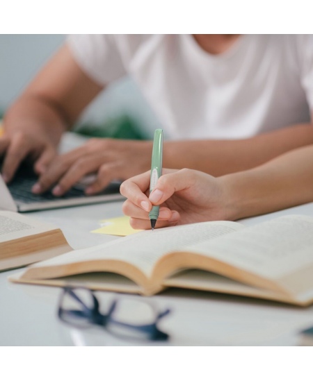 Rakstāmpildspalva SCHNEIDER Ray, zaļgani balts korpuss