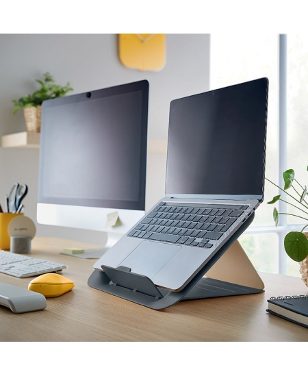 Monitora statīvs LEITZ COSY, pelēks