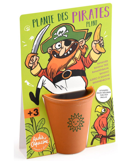 Banānkoka audzēšanas komplekts RADIS et CAPUCINE Pirāts