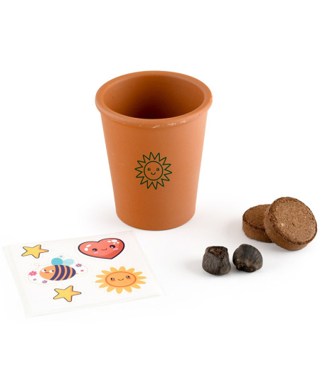 Banānkoka audzēšanas komplekts RADIS et CAPUCINE Pirāts