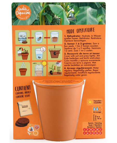 Banānkoka audzēšanas komplekts RADIS et CAPUCINE Pirāts