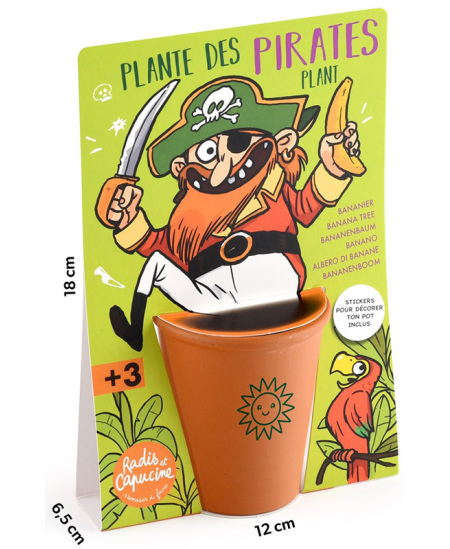 Banānkoka audzēšanas komplekts RADIS et CAPUCINE Pirāts