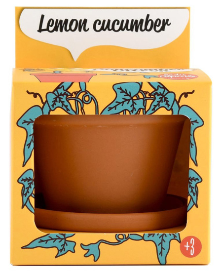 Audzēšanas komplekts bērniem RADIS ET CAPUCINE Citronu gurķis