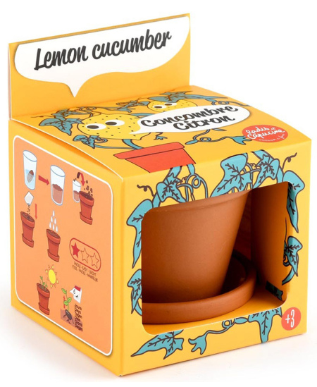 Audzēšanas komplekts bērniem RADIS ET CAPUCINE Citronu gurķis