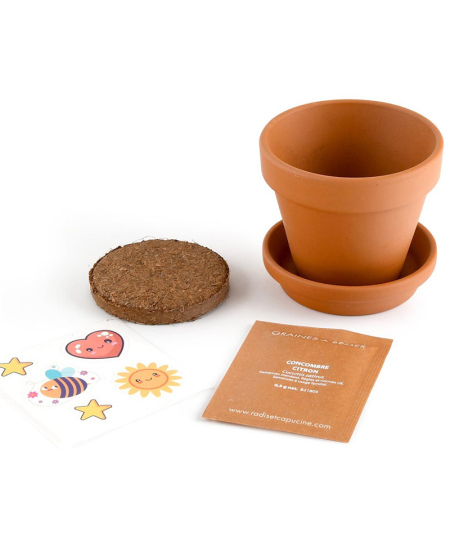 Audzēšanas komplekts bērniem RADIS ET CAPUCINE Citronu gurķis