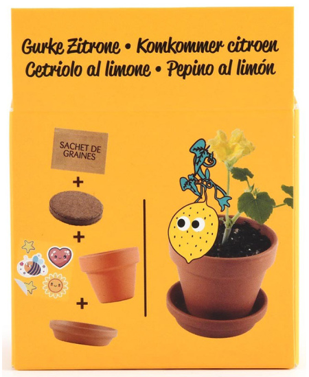 Audzēšanas komplekts bērniem RADIS ET CAPUCINE Citronu gurķis