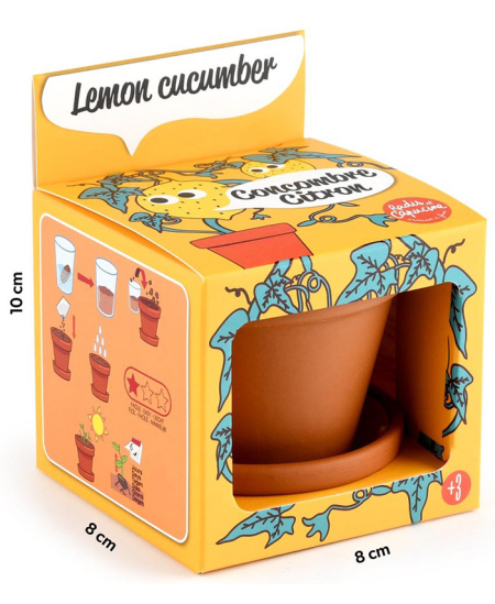 Audzēšanas komplekts bērniem RADIS ET CAPUCINE Citronu gurķis