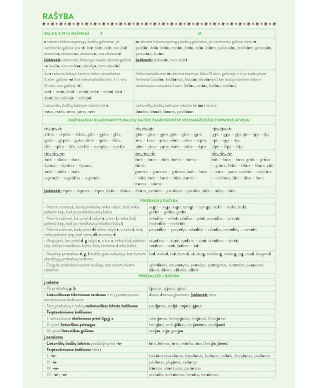 Formulu burtnīca līniju DISCO, 9.-12. kl., lietuviešu val., 50 lapas, 70 gms