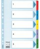 Sadalītāji dokumentiem ESSELTE, 1-5, krāsaini, A4